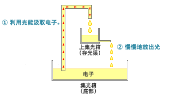 蓄光玻璃